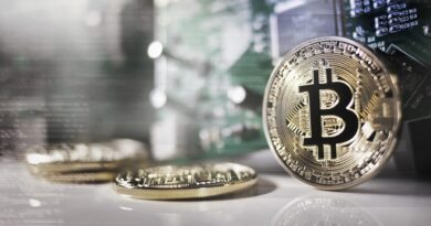 Le Bitcoin, l'une des cryptomonnaies les plus connues du marché