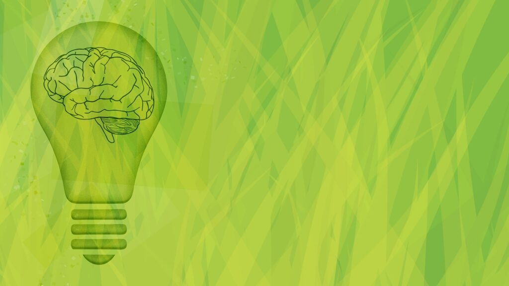 curiosité, soft skill ou comment développer un esprit curieux