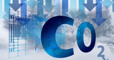 référentiels relatifs à la comptabilité carbone