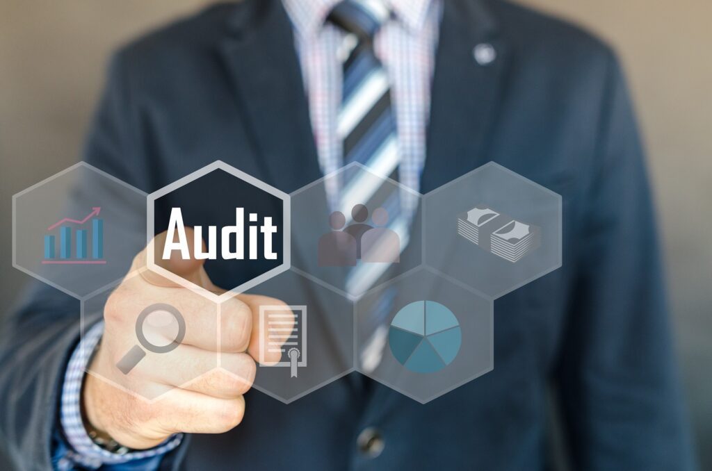 Risk In Focus 2025 : Hot topics for internal auditors