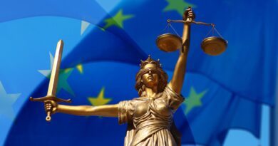 La loi DDADUE (Diverses Dispositions d'Adaptation au Droit de l’Union Européenne) ou PJL DDADUE 2025.