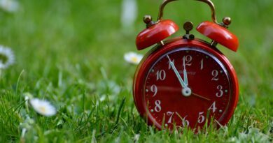 La directive "Stop-the-Clock"