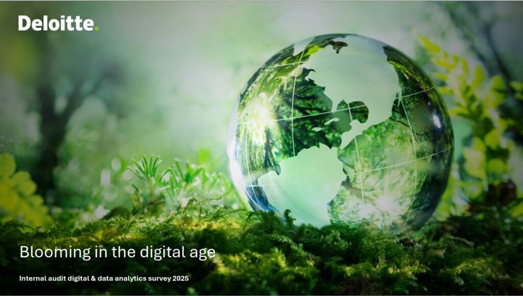 Transformation digitale en audit interne