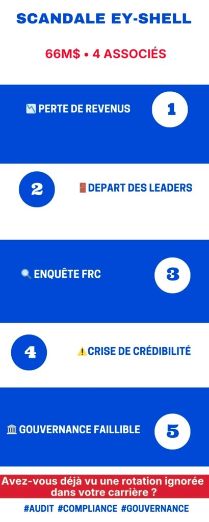 conformité procédurale audit : le cas EY/Shell