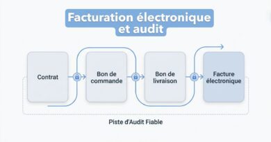 Facturation électronique et audit